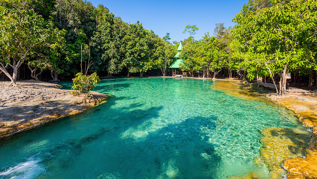 Krabi Jungle tour, Hot spring & Emerald pool Trip - PPKK Tours Service